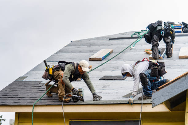 Professional Gutter Installation technician working in Pilot Point, TX